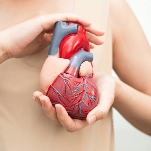 Heart Disease Monitoring